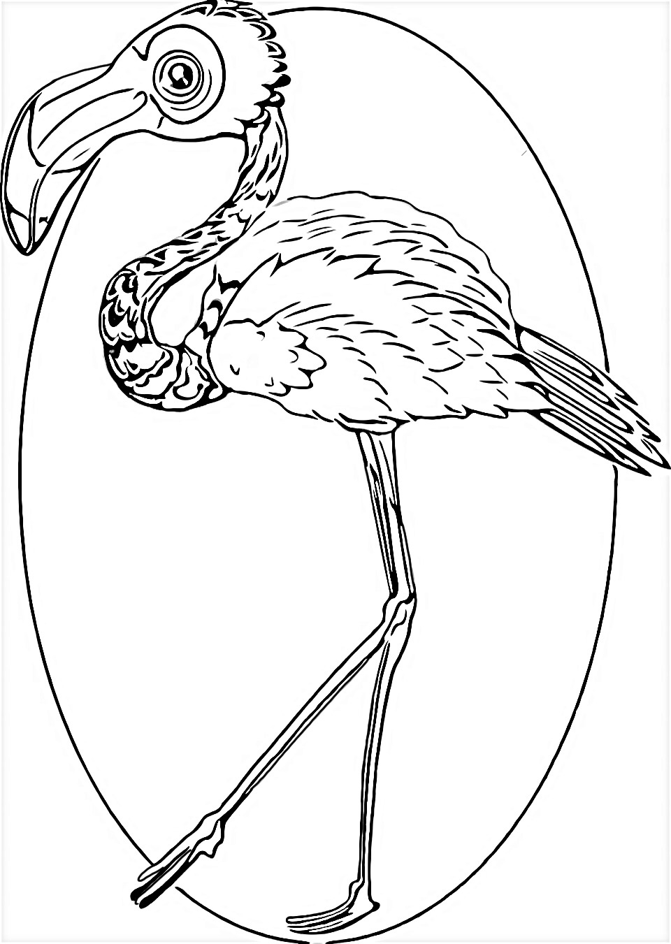 Cartoon Flamingo