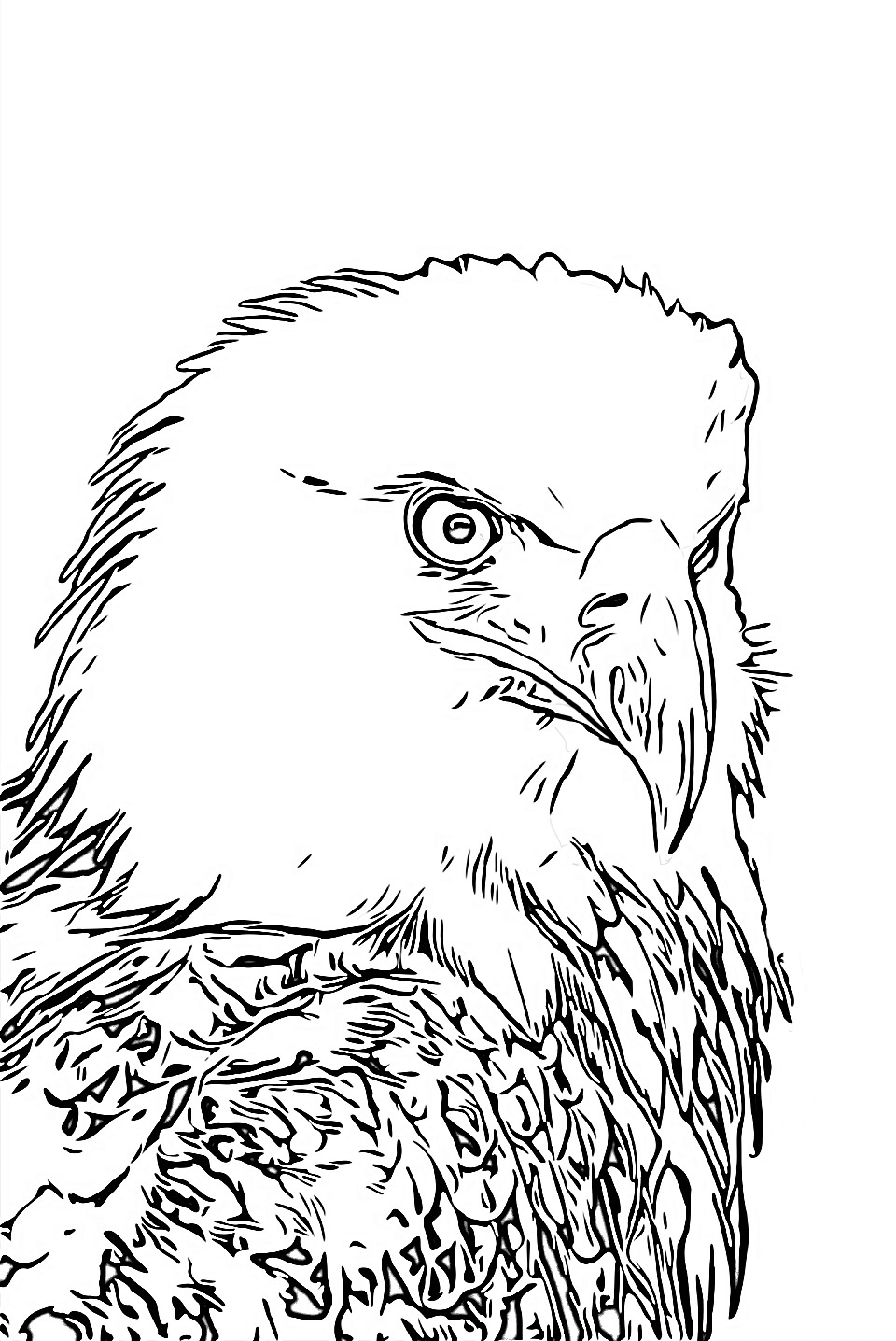 Eagle king of the skies coloring page