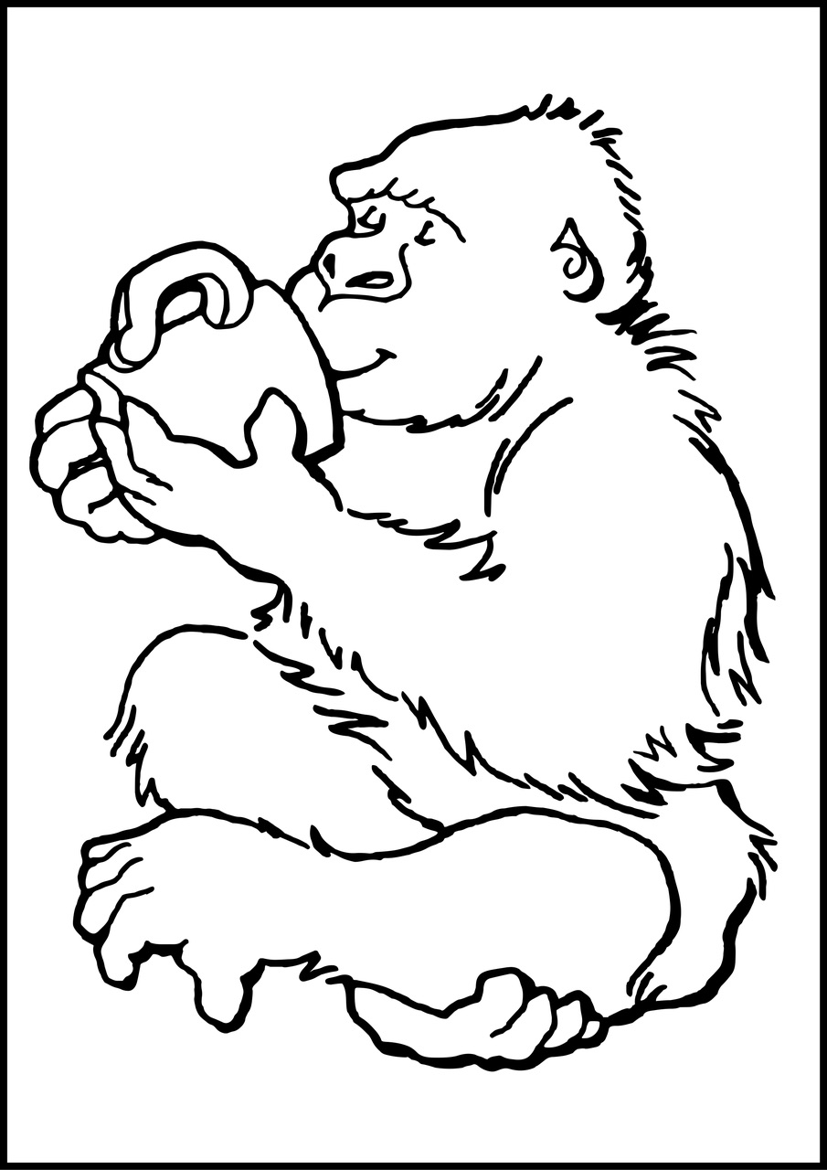 Gorilla Drinking form a Cup