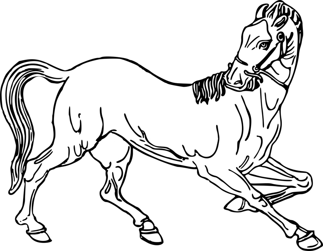 Horse Gives a Backward Glance