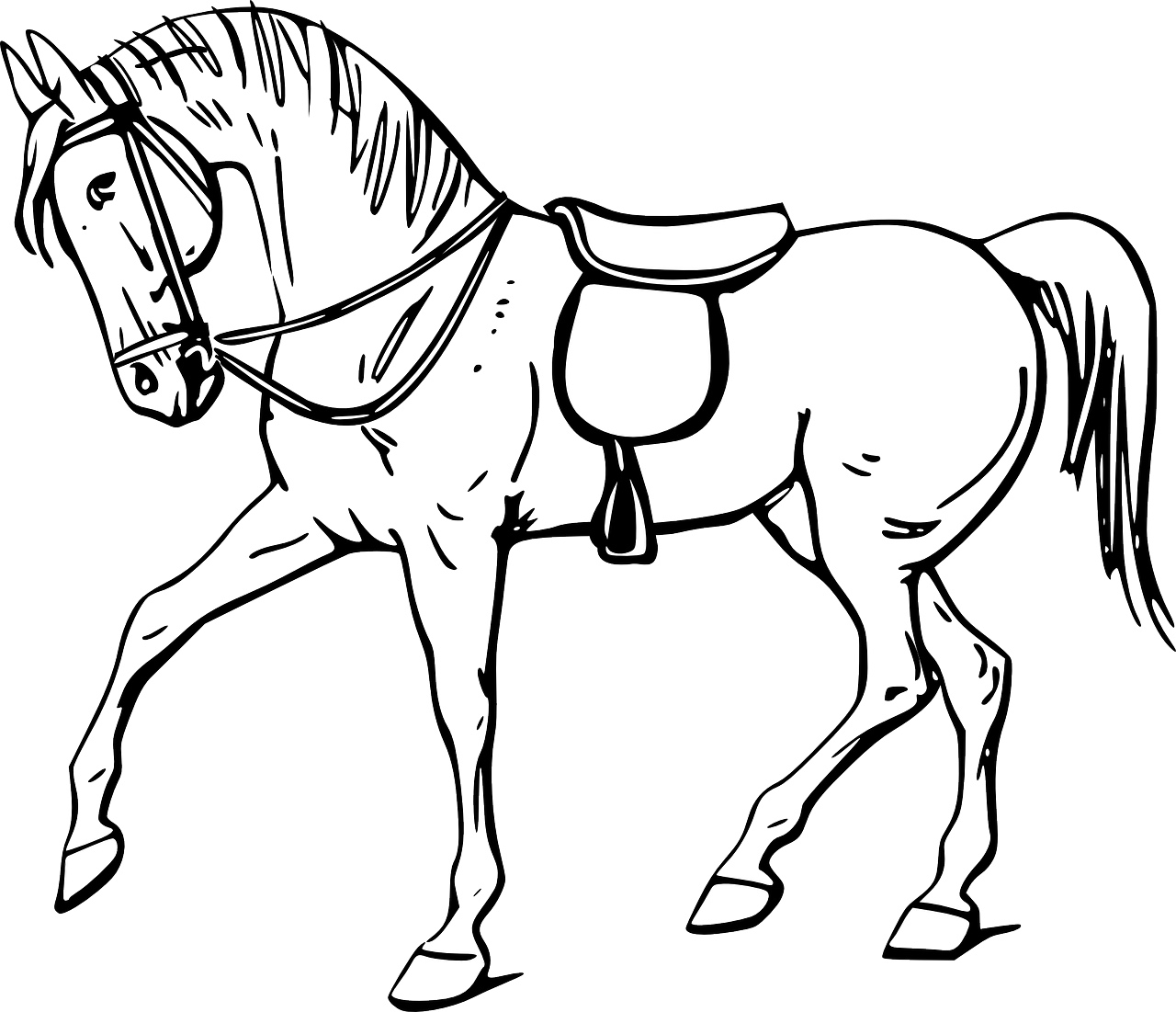 Horse with Bridle and Saddle 