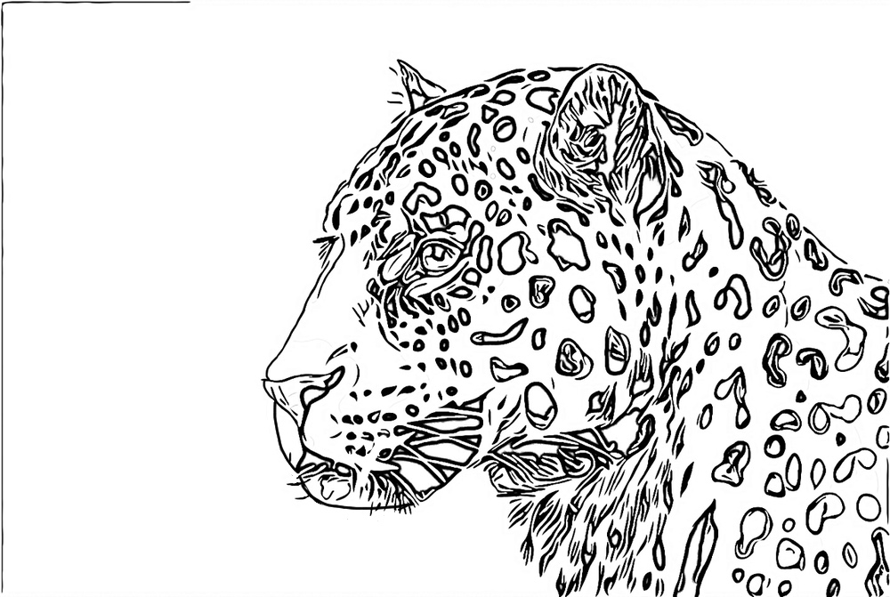 Leopard Face Coloring Page