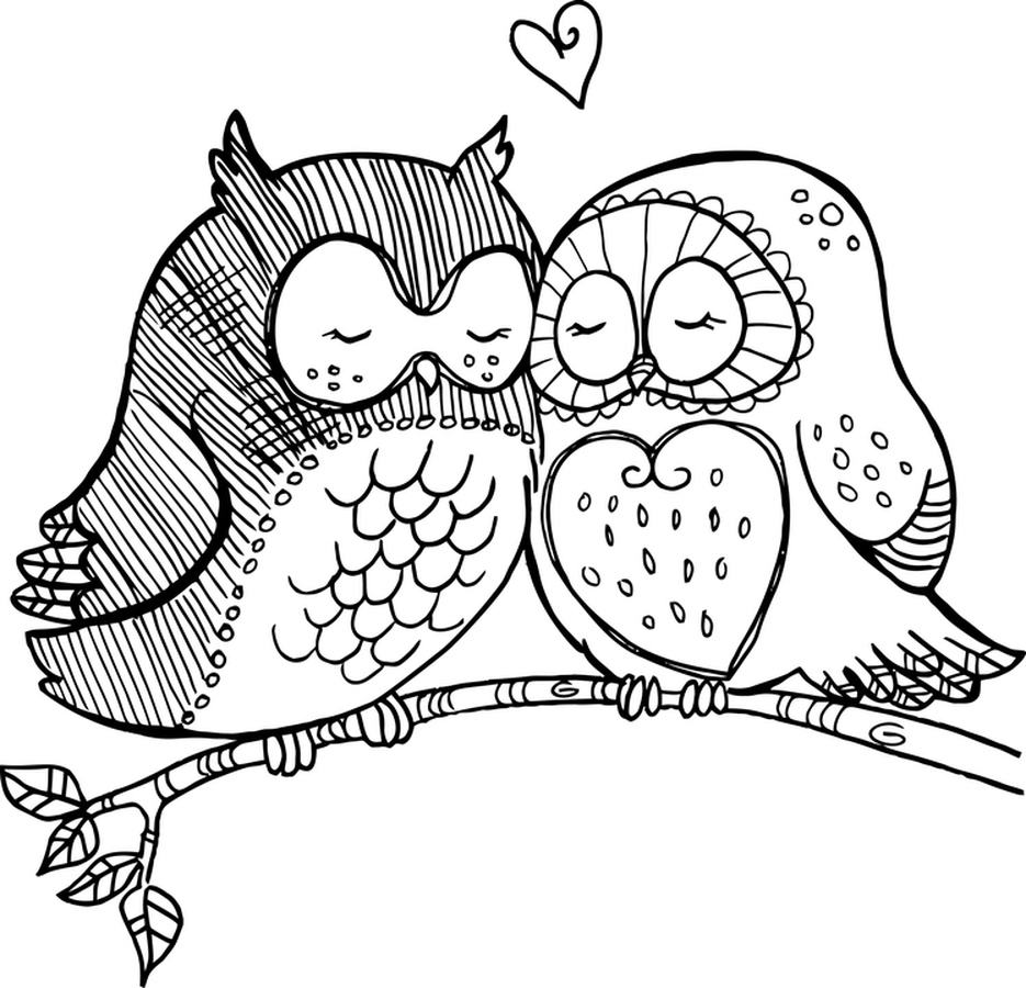 Pair of Owls in Love