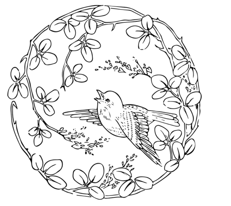 Pretty Bird in a Circle of Flowers