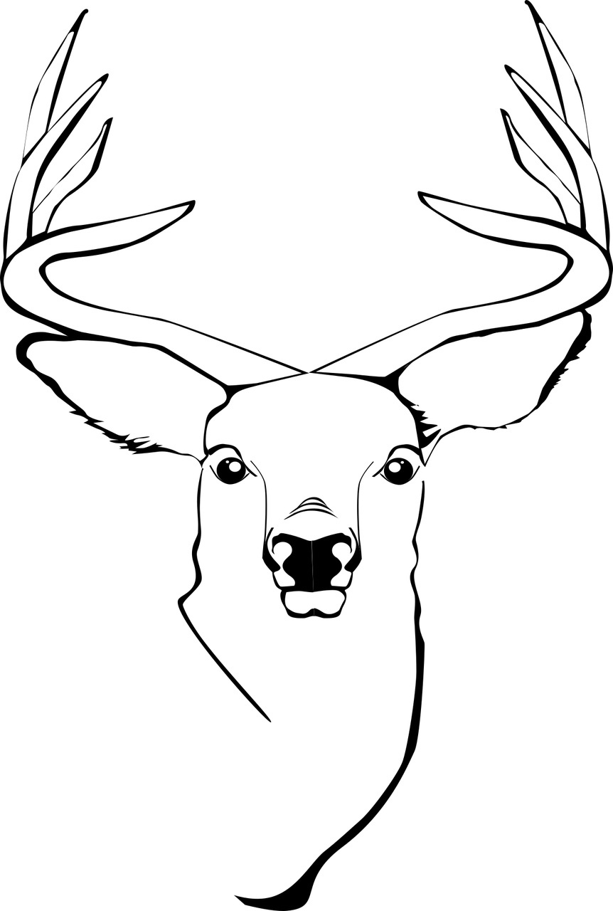 Statuesque Elk Coloring Page