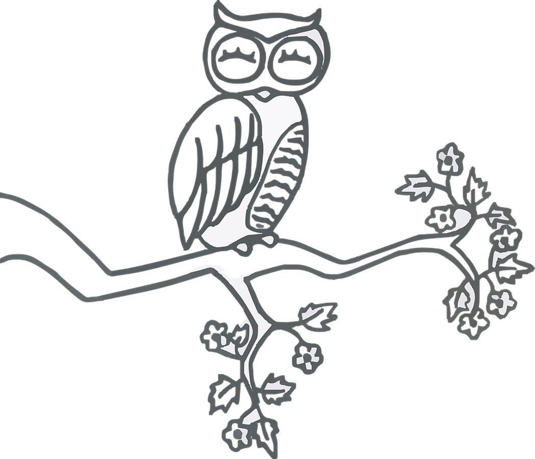 Stylish Owl on a Split Tree Branch