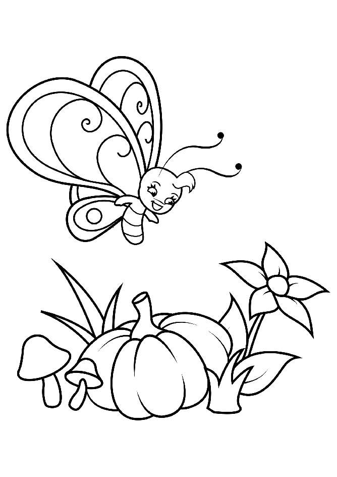 Butterfly and the Pumpkin Flower