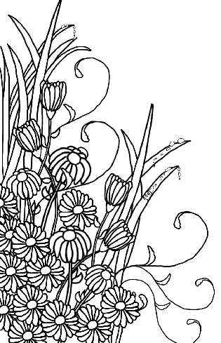 Floral Coloring Card Template with a Hidden Ladybird