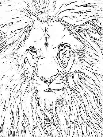 Lion, King of the Jungle Coloring Sheet