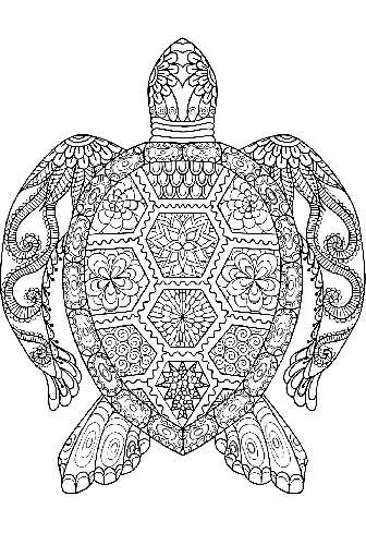 Zentangle Turtle Coloring Sheet
