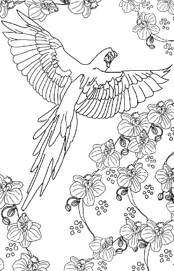Parrot in Flight Coloring Page