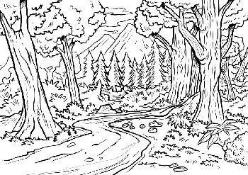 Peaceful Forest Coloring Page