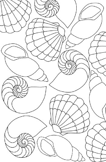 Shells Coloring Collage